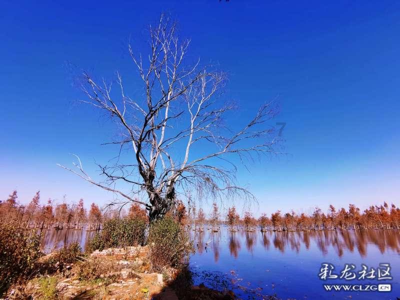 为什么孩子不能溺爱？长大他不自然而然地就懂事了吗？游戏画面