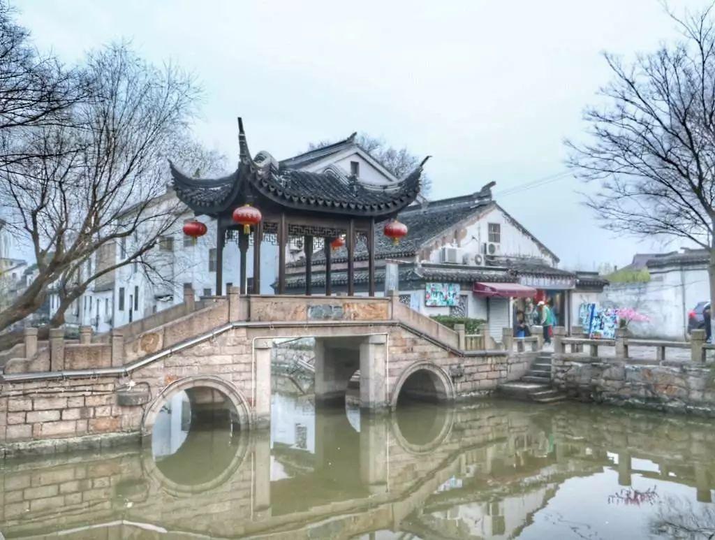 破碎的动物图形3